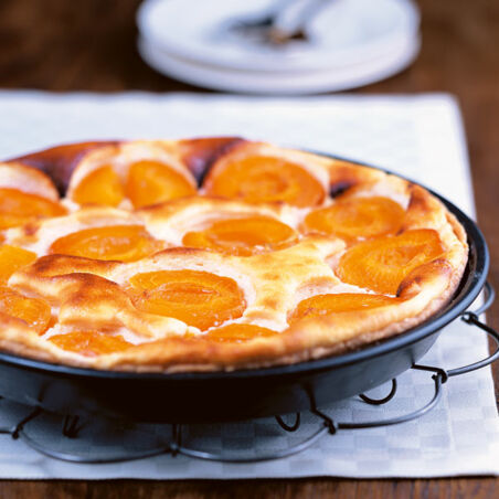 Aprikosen-Käsekuchen Aprikosen-Käsekuchen