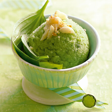 Basilikumsorbet mit gerösteten Macadamianüssen Basilikumsorbet mit gerösteten Macadamianüssen