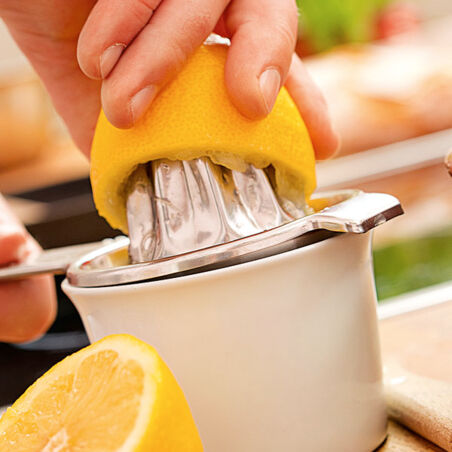 Schweinefilet mit Pilzen Schweinefilet mit Pilzen