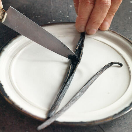 Espressogelee mit Schokostückchen Espressogelee mit Schokostückchen