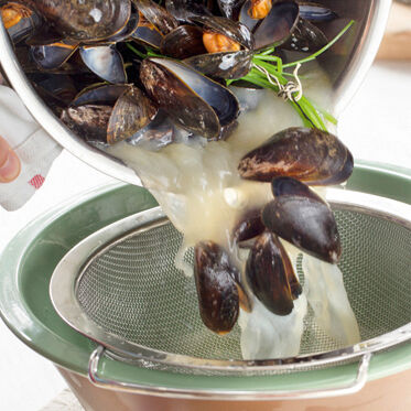 Miesmuscheln in Weißwein Miesmuscheln in Weißwein