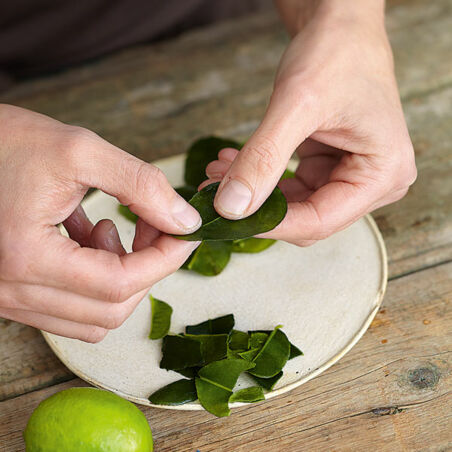 Pangasius-Ceviche mit Chili und Kokosmilch Pangasius-Ceviche mit Chili und Kokosmilch