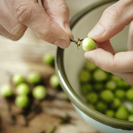 Rotes Rindfleisch-Curry Rotes Rindfleisch-Curry