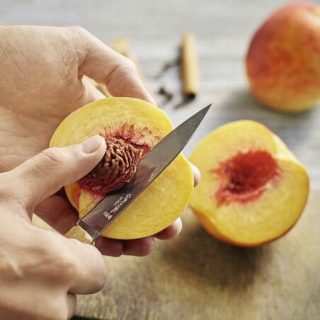 Sangria mit Nektarinen Sangria mit Nektarinen