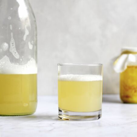 Ginger Beer Ginger Beer