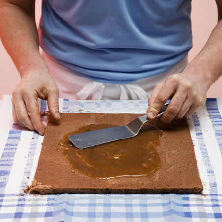 Biskuit-Roulade à la Sacher Biskuit-Roulade à la Sacher