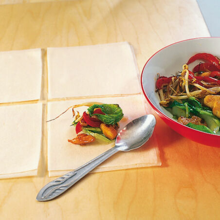 Frittierte Wan Tan Frittierte Wan Tan