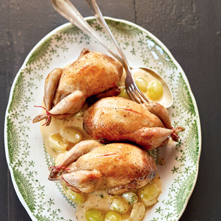 Wachteln Winzerinnen-Art Wachteln Winzerinnen-Art