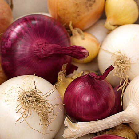 Brokkolinudeln mit Tomaten-Chili-Zwiebeln Brokkolinudeln mit Tomaten-Chili-Zwiebeln