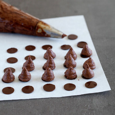 Ingwerspitzen Ingwerspitzen