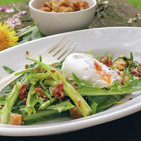 Löwenzahnsalat mit Speck Löwenzahnsalat mit Speck