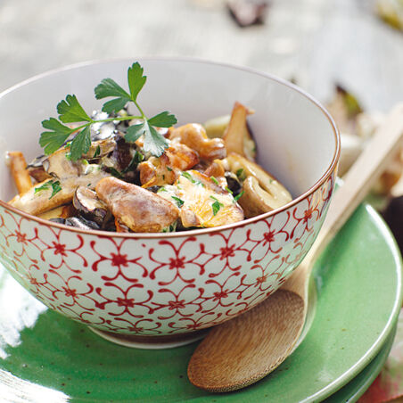 Pilzragout mit Sahne Pilzragout mit Sahne