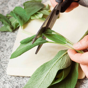 Zitronenhähnchen Zitronenhähnchen