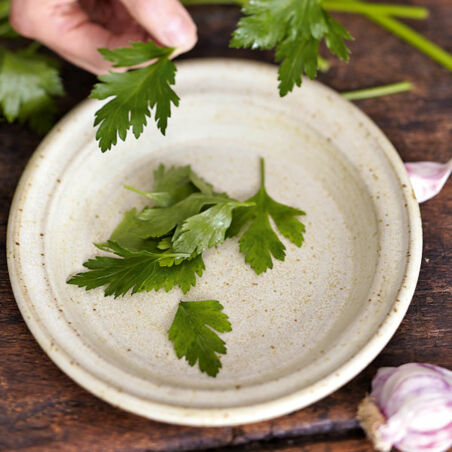 Eingelegte Sardellen mit Knoblauch Eingelegte Sardellen mit Knoblauch