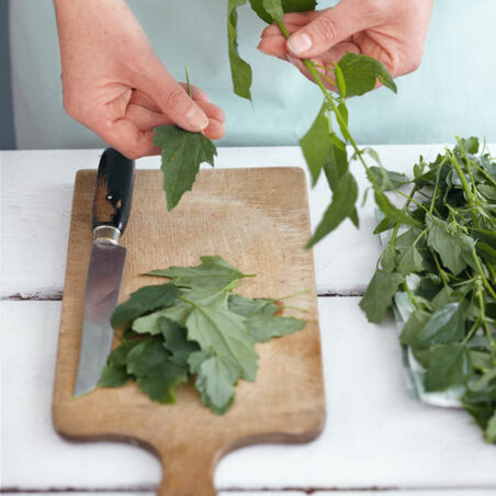 Melde-Gnocchi mit Haselnussbutter Melde-Gnocchi mit Haselnussbutter