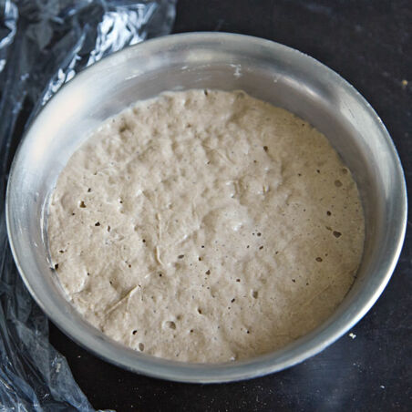 Grundrezept Anstellgut und Sauerteig Grundrezept Anstellgut und Sauerteig