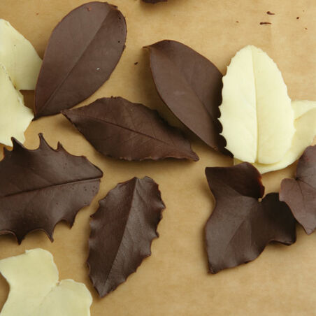 Schokoladenblätter Schokoladenblätter