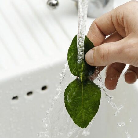 Rotes Rindfleisch-Curry Rotes Rindfleisch-Curry