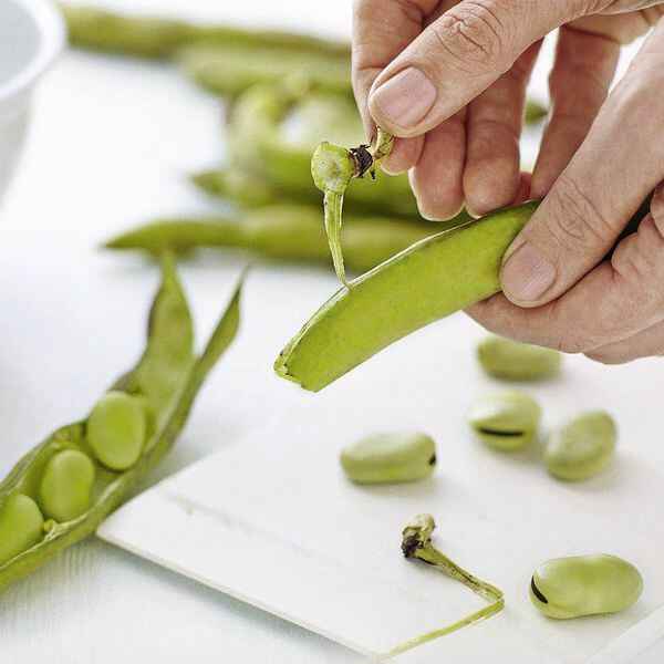 Sommergemüsesuppe mit Gremolata Rezept | Küchengötter