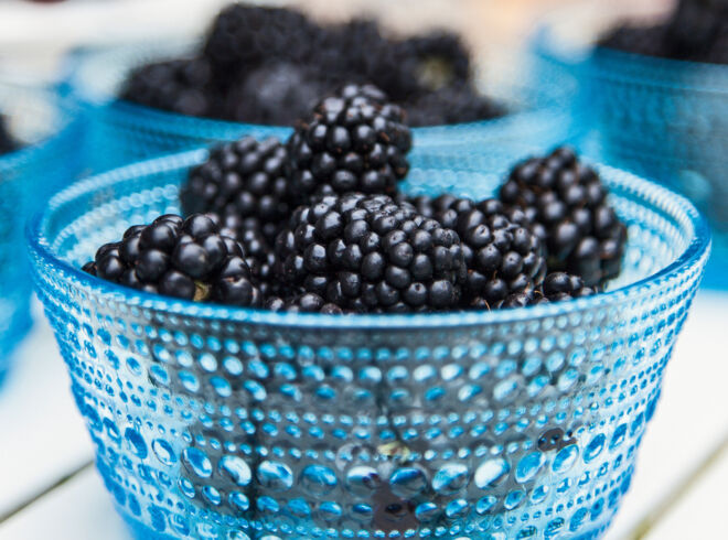 Brombeeren Rezepte Brombeeren Rezepte