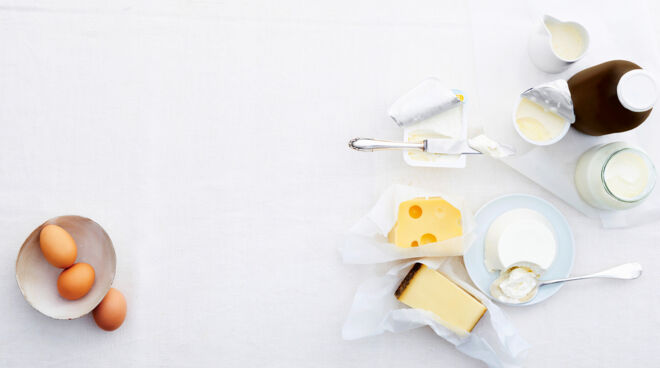 Milch und Eier vegetarisch Milch und Eier vegetarisch