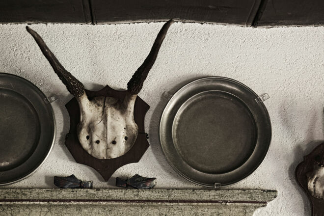 Jagdtrophäe Wild Jagdtrophäe Wild