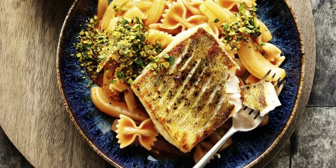 Fenchel-Pasta mit Zander Fenchel-Pasta mit Zander