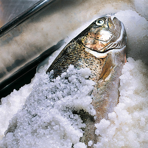 Ganzer Fisch Im Salzmantel Rezept Kuchengotter