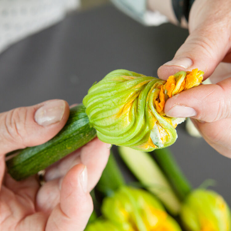 Gefüllte Zucchiniblüten mit Ricotta-Basilikum-Creme Rezept | Küchengötter